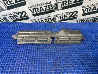 Защита радиатора Toyota Premio 2003