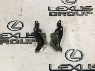 Петля капота передняя левая Lexus RX300 2005