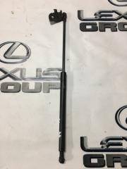 Амортизатор капота передний левый Lexus IS250 2008