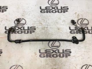 Стабилизатор задний Toyota RAV4 2016