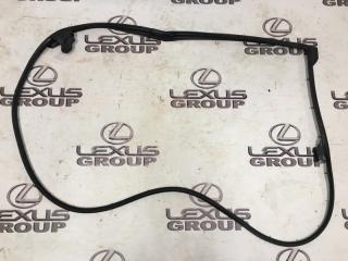 Уплотнительная резинка двери задняя левая Lexus RX350 2018