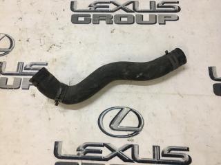 Патрубок радиатора нижний Lexus LS460 2009