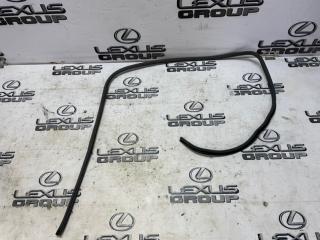 Уплотнитель проема двери задний правый Lexus LS460 2006 контрактная Уплотнитель проема двери задний правый Lexus LS460 2006