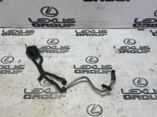 Абсорбер топливный Lexus LS460 2006 контрактная Абсорбер топливный Lexus LS460 2006