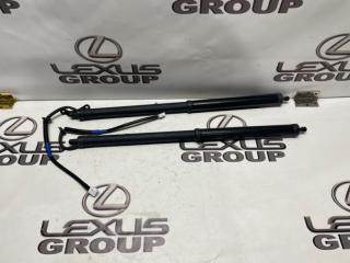 Амортизатор багажника Lexus RX450h 2021 контрактная Амортизатор багажника Lexus RX450h 2021