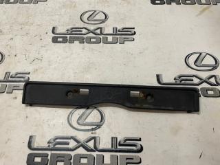 Панель крепления номерного знака передний Lexus RX400h 2008
