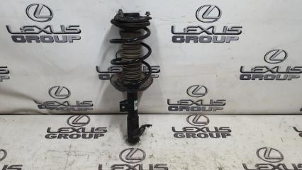 Амортизатор передний левый Toyota RAV4 2019