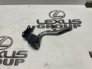 Петля капота левая Lexus RX450h 2019 контрактная Петля капота левая Lexus RX450h 2019