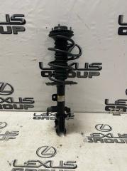 Амортизатор передний правый Lexus RX450h 2021