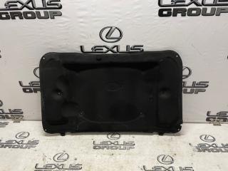 Обшивка капота Lexus IS250 2008