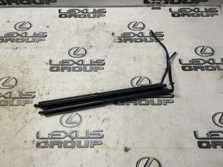 Амортизатор багажника Lexus RX450h 2020 контрактная Амортизатор багажника Lexus RX450h 2020