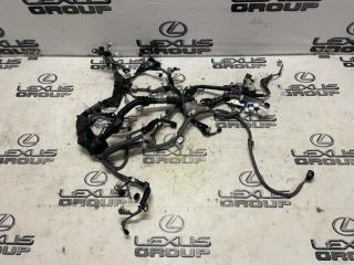 Проводка двигателя Toyota Land Cruiser Prado 2019 контрактная Проводка двигателя Toyota Land Cruiser Prado 2019