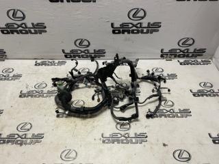 Проводка двигателя Toyota Land Cruiser Prado 2020 контрактная Проводка двигателя Toyota Land Cruiser Prado 2020