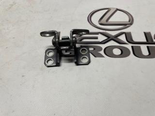 Петля багажника задняя Toyota Land Cruiser Prado 2018