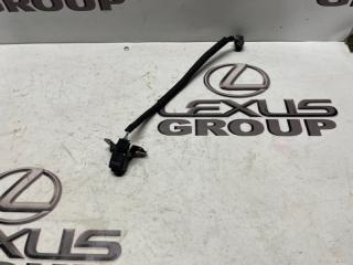 Камера передняя Lexus RX300 2021