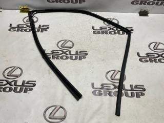 Уплотнитель стекла передний правый Toyota RAV4 2019