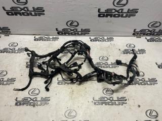 Проводка двигателя Toyota RAV4 2019 контрактная Проводка двигателя Toyota RAV4 2019