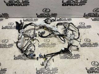 Проводка торпеды передняя Toyota RAV4 2019