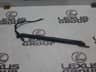 Амортизатор багажника задний левый Toyota RAV4 2019