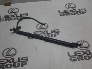 Амортизатор багажника задний правый Toyota RAV4 2019