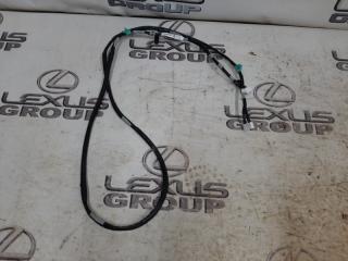 Проводка антенны передняя Toyota RAV4 2020