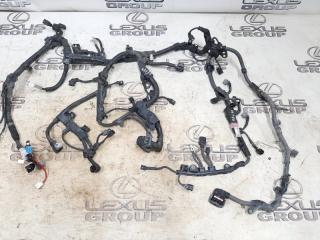 Проводка двигателя Toyota RAV4 2020 контрактная Проводка двигателя Toyota RAV4 2020