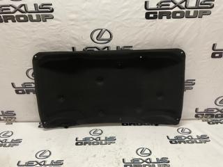 Обшивка капота Lexus GS300 2009