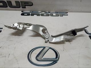 Петля капота передняя левая Lexus GS300 2010 контрактная Петля капота передняя левая Lexus GS300 2010