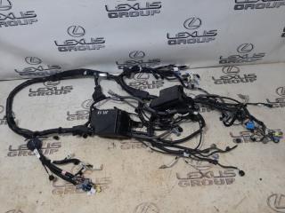 Проводка моторного отсека Lexus NX300h 2021