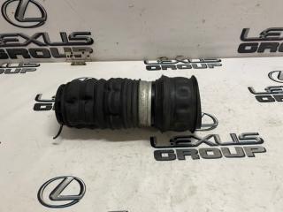 Пневмобаллон задний левый Land Rover Range Rover Velar 2018