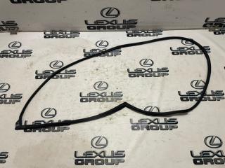 Уплотнитель двери задний левый Toyota RAV4 2017