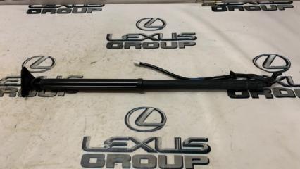 Амортизатор багажника задний правый Lexus RX450h 2021 контрактная Амортизатор багажника задний правый Lexus RX450h 2021