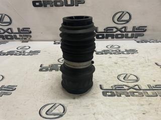 Пневмобаллон задний правый Land Rover Range Rover Velar 2019