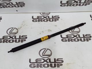 Амортизатор багажника Toyota Land Cruiser Prado 2019 контрактная Амортизатор багажника Toyota Land Cruiser Prado 2019