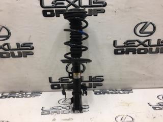 Амортизатор передний правый Lexus RX300 2020