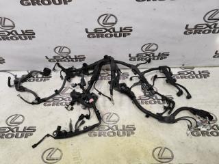 Проводка двигателя Lexus ES300h 2020 контрактная Проводка двигателя Lexus ES300h 2020