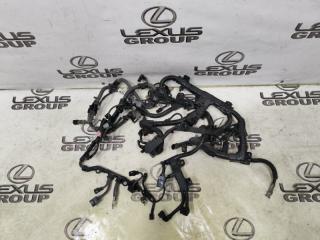 Проводка двигателя Lexus ES300h 2021 контрактная Проводка двигателя Lexus ES300h 2021