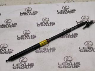 Амортизатор багажника задний Toyota Land Cruiser Prado 2019