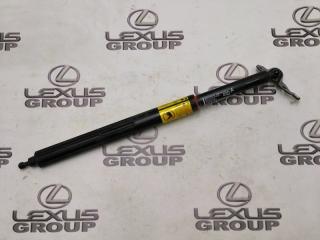 Амортизатор багажника задний Toyota Land Cruiser Prado 2020