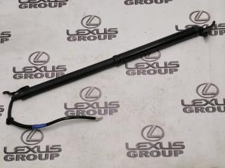 Амортизатор багажника задний левый Lexus RX300 2020 контрактная Амортизатор багажника задний левый Lexus RX300 2020