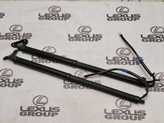 Амортизатор багажника задний Lexus RX300 2021 контрактная Амортизатор багажника задний Lexus RX300 2021