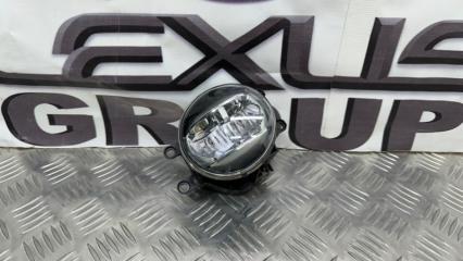 Фара противотуманная передняя правая Toyota Land Cruiser Prado 2019