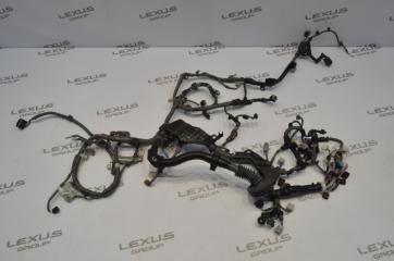 Проводка двигателя Toyota Land Cruiser Prado 2019 контрактная Проводка двигателя Toyota Land Cruiser Prado 2019