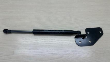 Амортизатор пола багажника передний BMW X6 2012