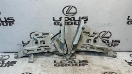 Петля капота передняя BMW X6 2012