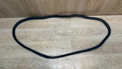 Уплотнительная резинка двери задняя BMW 5 - Series 2017