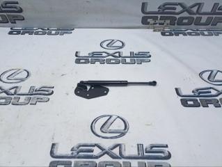 Амортизатор багажника задний BMW X6 2012