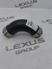 Патрубок радиатора правый Toyota Land Cruiser Prado 2022