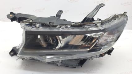 Фара передняя левая Toyota Land Cruiser Prado 2021