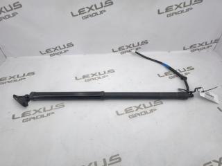 Амортизатор багажника задний правый Lexus RX300 2019 контрактная Амортизатор багажника задний правый Lexus RX300 2019